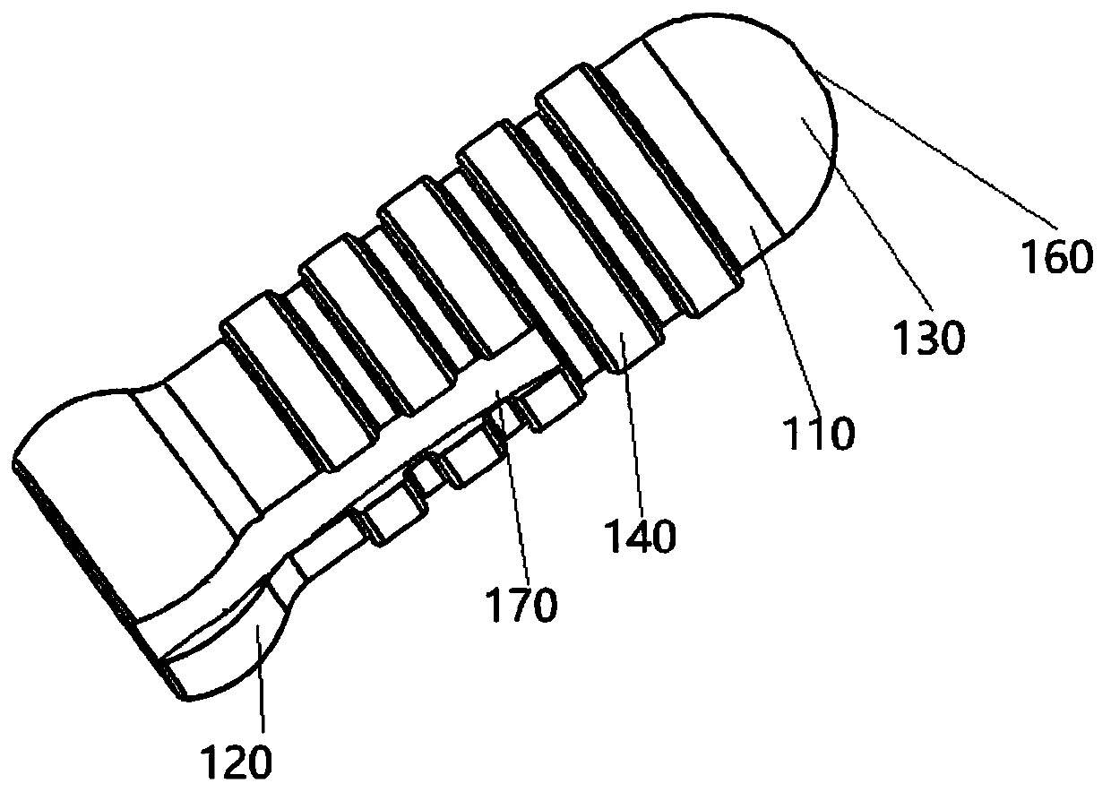 Vagina forming model and method of 3D printing preparation therefor