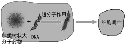 A kind of peptide dendrimer drug and its preparation method and application