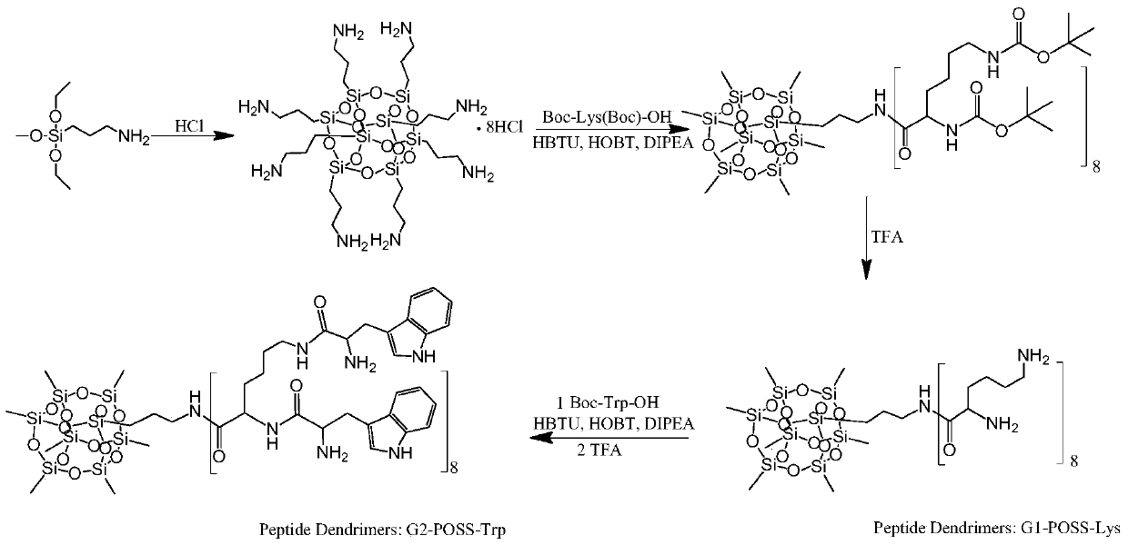 A kind of peptide dendrimer drug and its preparation method and application