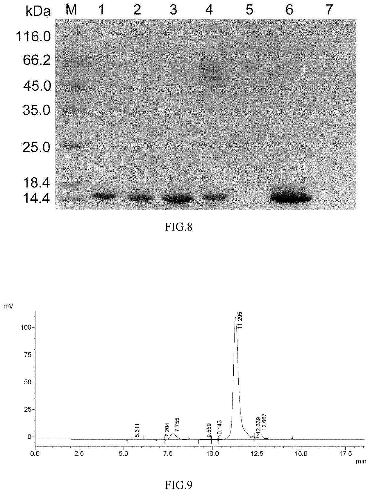 Mutants of recombinant immunoregulatory protein of Ganoderma lucidum and applications thereof