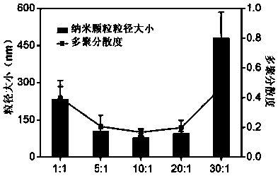 Blood stability nanoparticle-containing solution, preparation method and miRNA marker detection method thereof