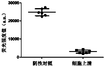 Blood stability nanoparticle-containing solution, preparation method and miRNA marker detection method thereof