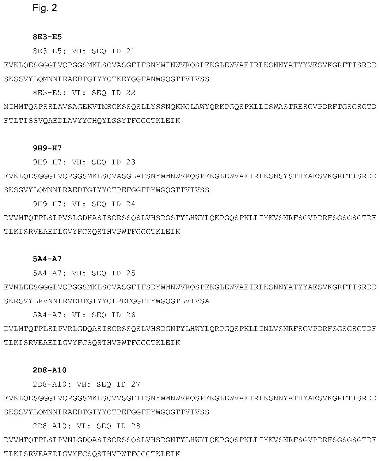 Antibodies targeting a galactan-based O-antigen of K. pneumoniae