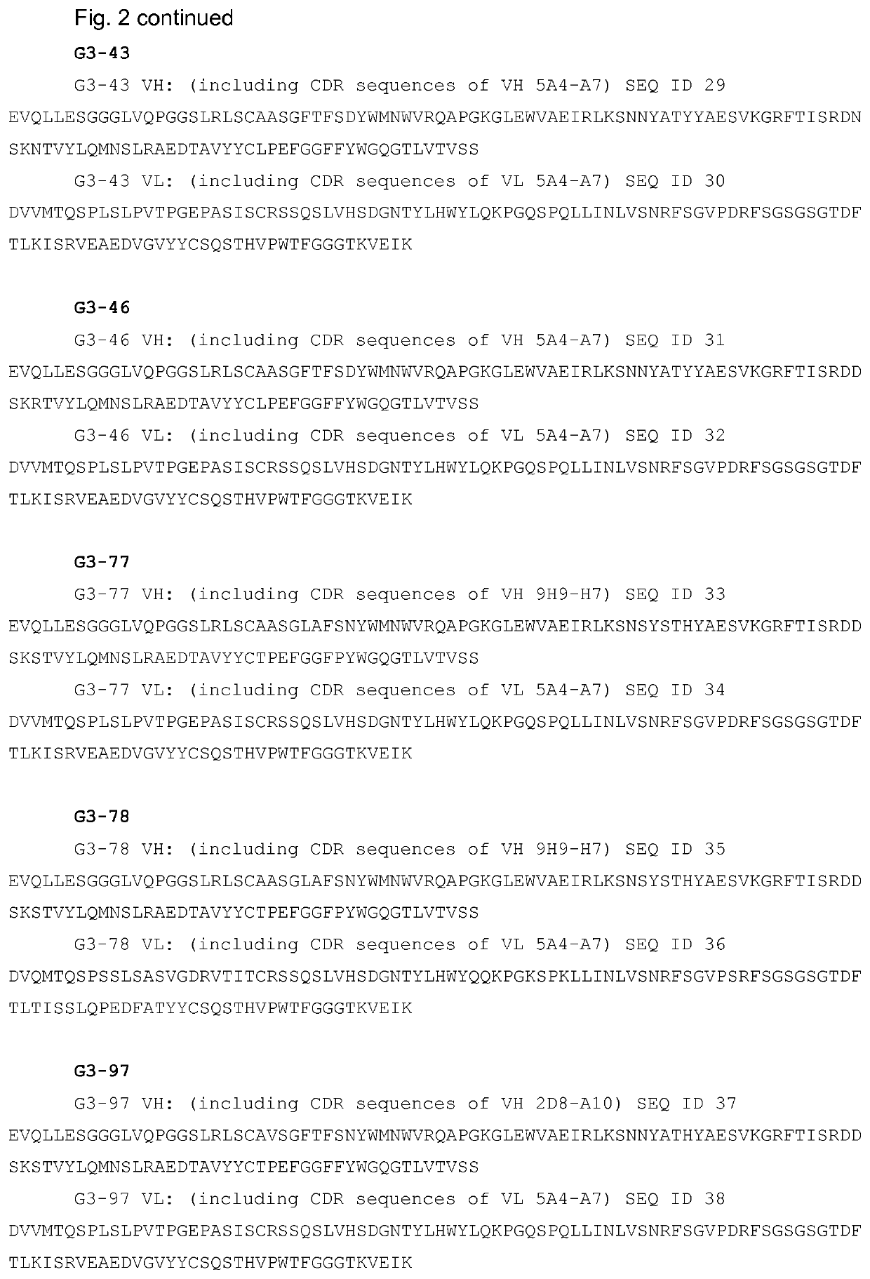 Antibodies targeting a galactan-based O-antigen of K. pneumoniae