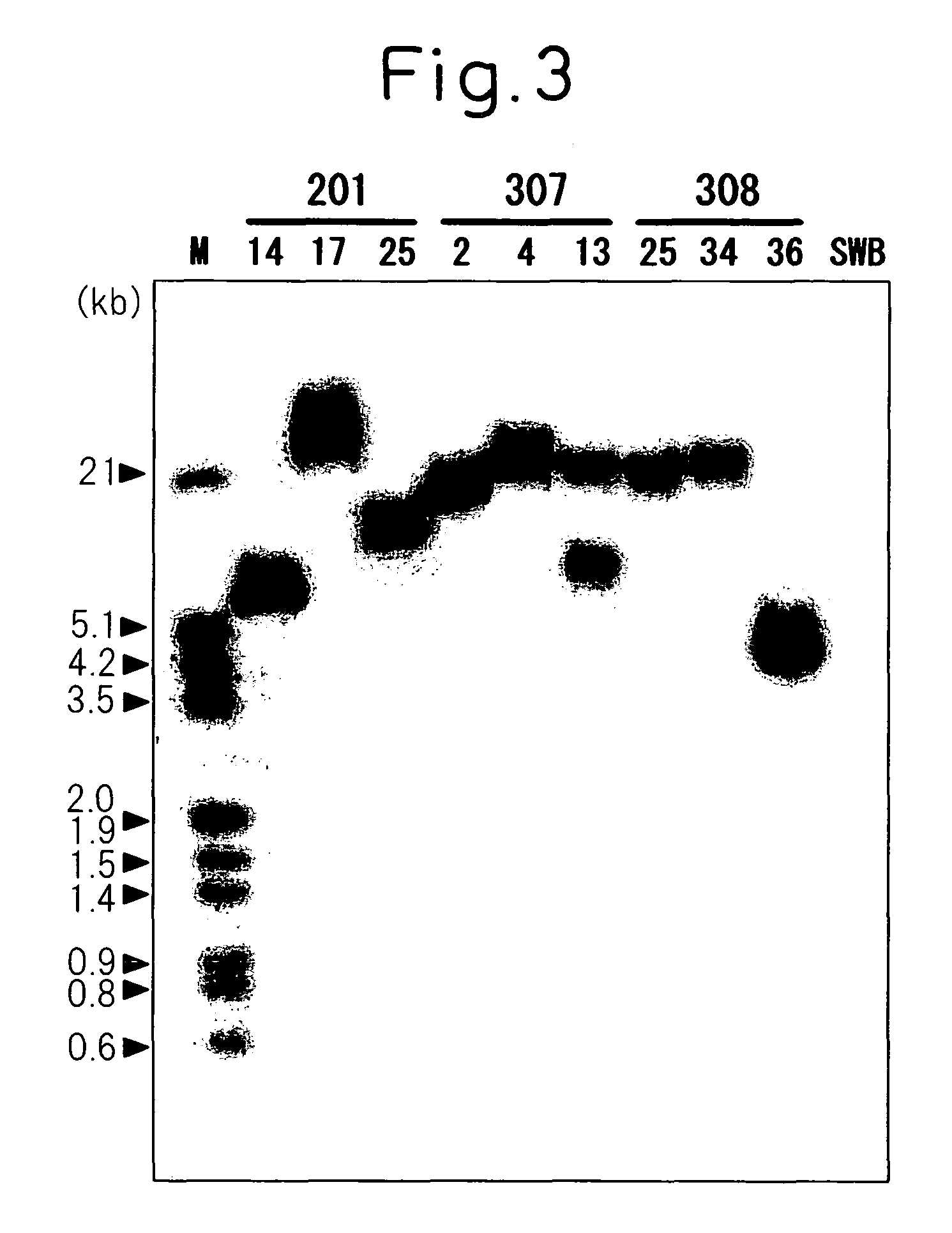 Method for producing yellow flower by controlling flavonoid synthetic pathway