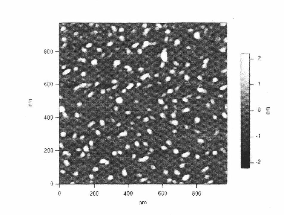 Recomposed tPA gene-chitosan nanoparticle complex and preparation method thereof