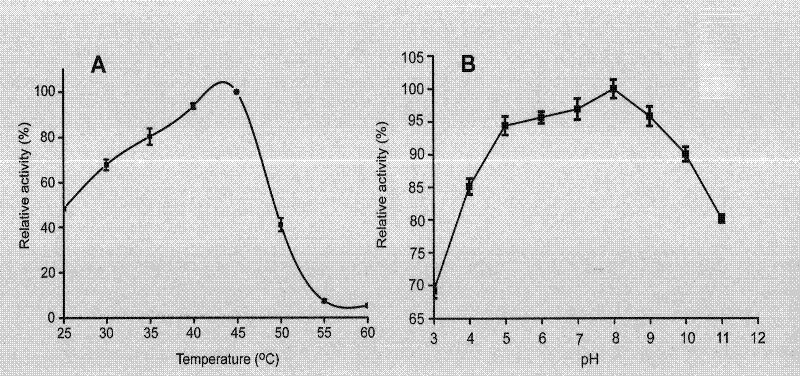 Application of galactokinase in synthesizing N-acetylgalactose-1-phosphoric acid and derivatives thereof