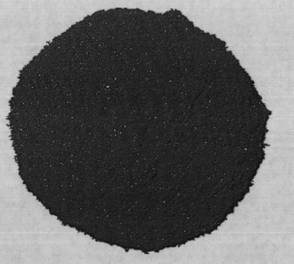 Persimmon tannin-containing metal adsorbent and preparation method thereof