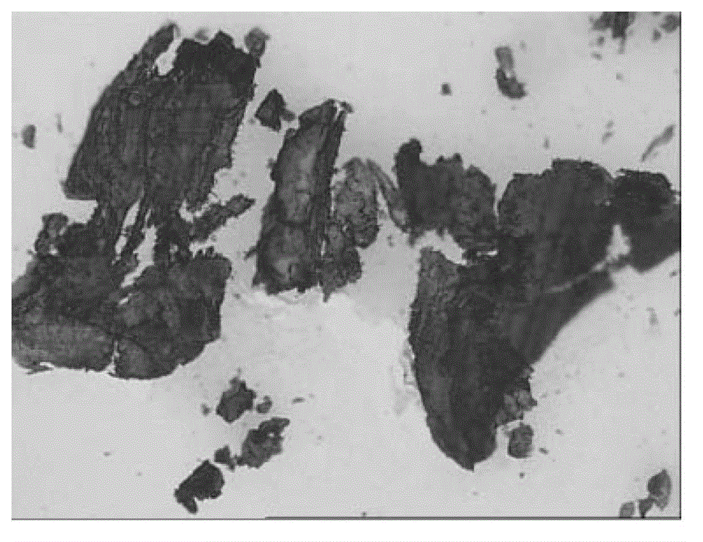 A kind of natural inorganic bone matrix and preparation method thereof