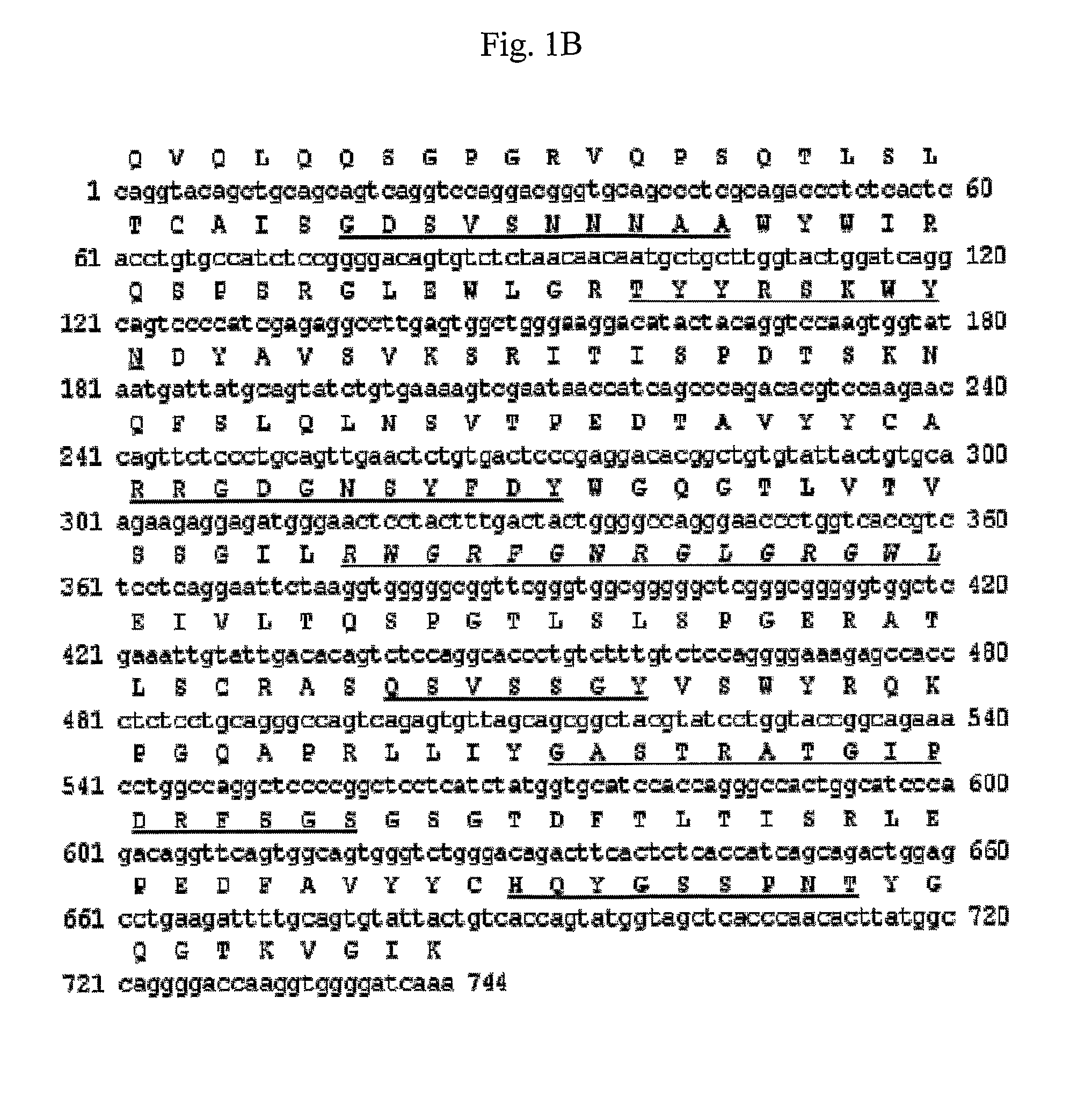 Antibody specifically binding to dr5 and composition for preventing or treating cancers comprising the same