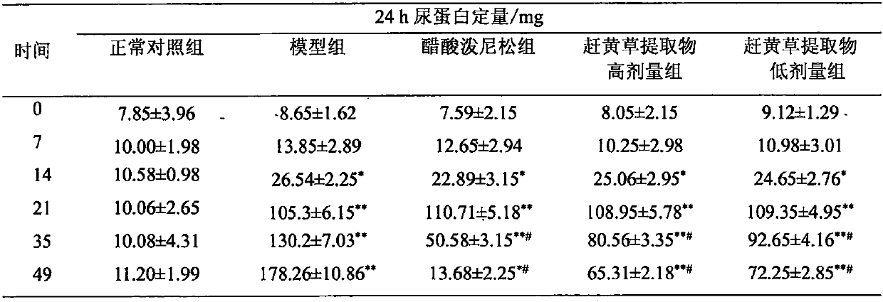 Novel use of penthorum chinense pursh in prevention and treatment of renal albuminuria