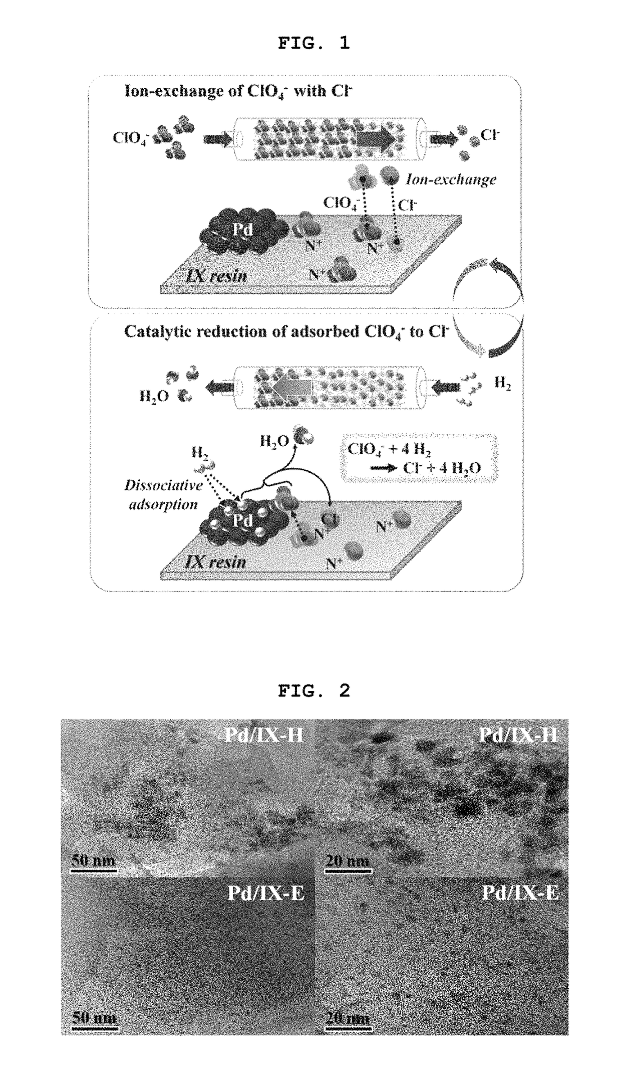 Metal-supported anion exchange resins and method of remediating toxic anions using the same