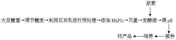 Method for producing citric acid by fermenting soybean molasses