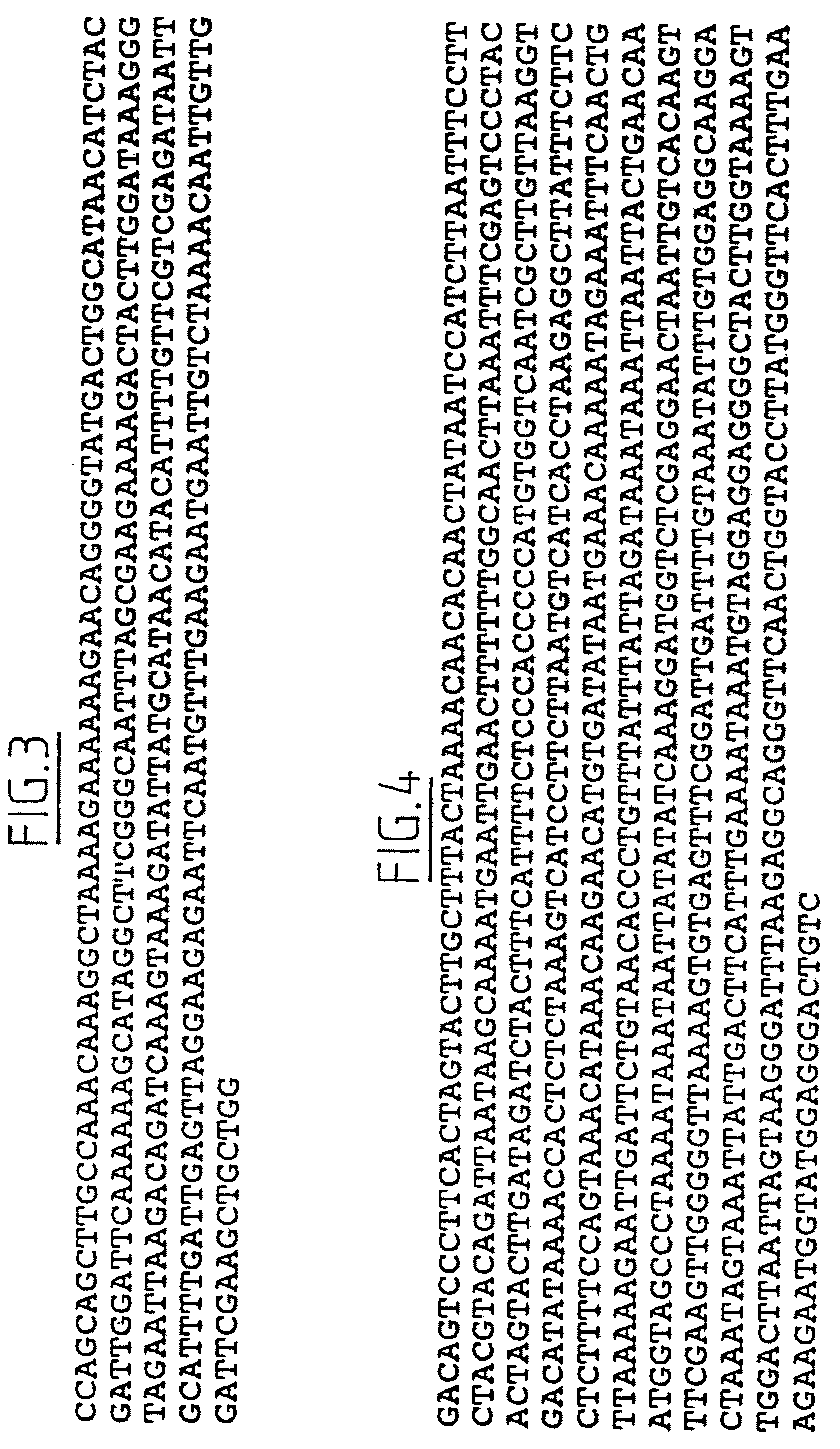 Method for obtaining a plant with a lasting resistance to a pathogen