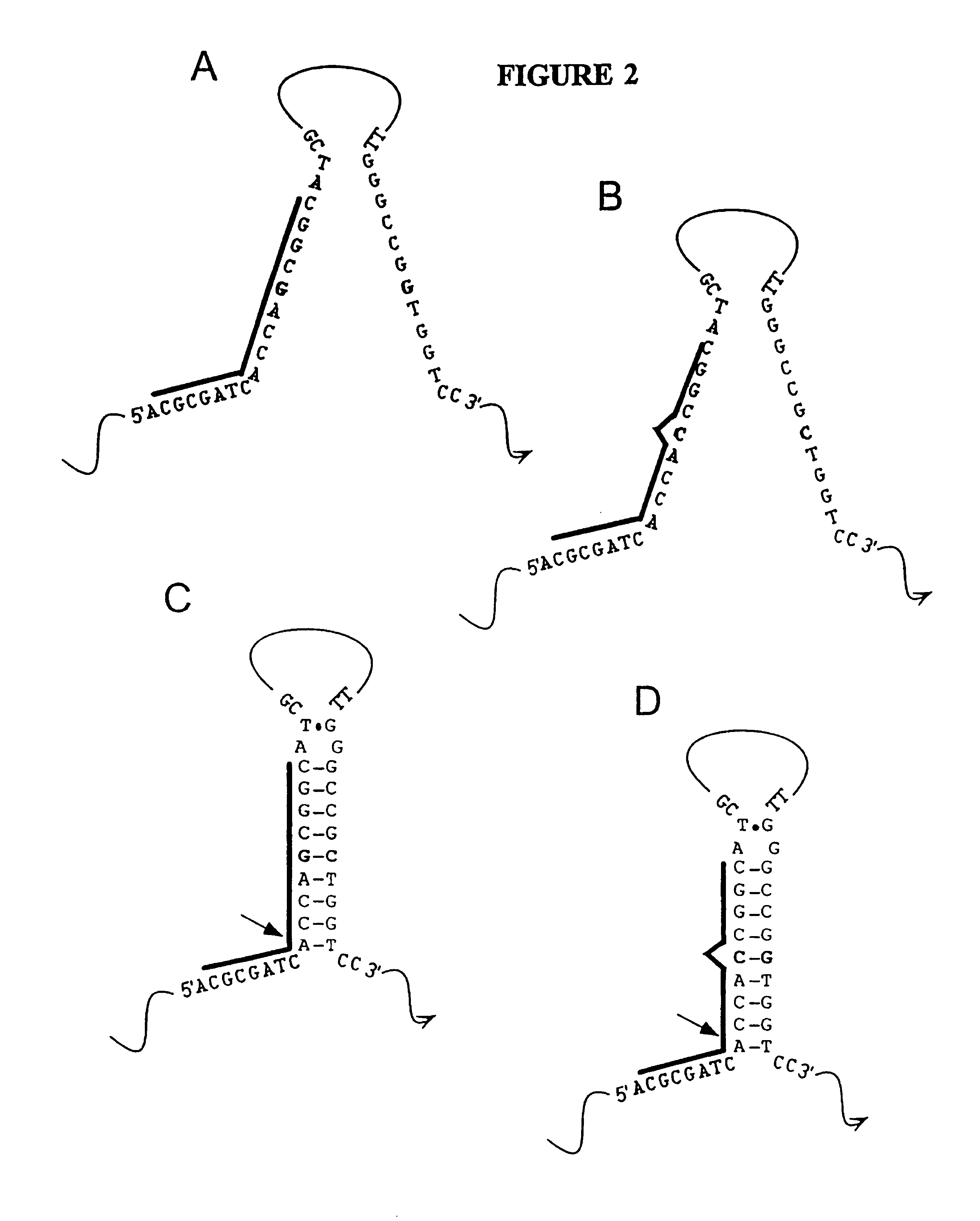 Nucleic acid accessible hybridization sites