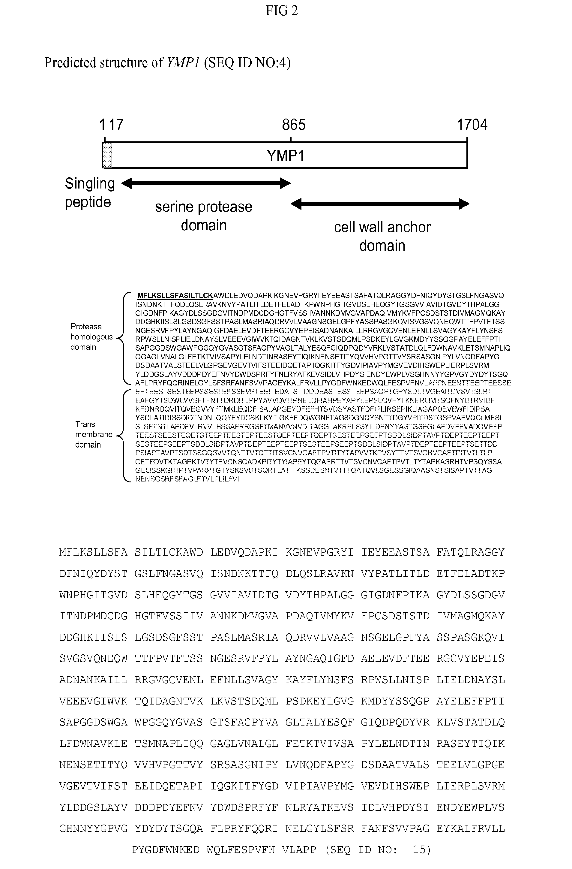 Host cells and methods of use