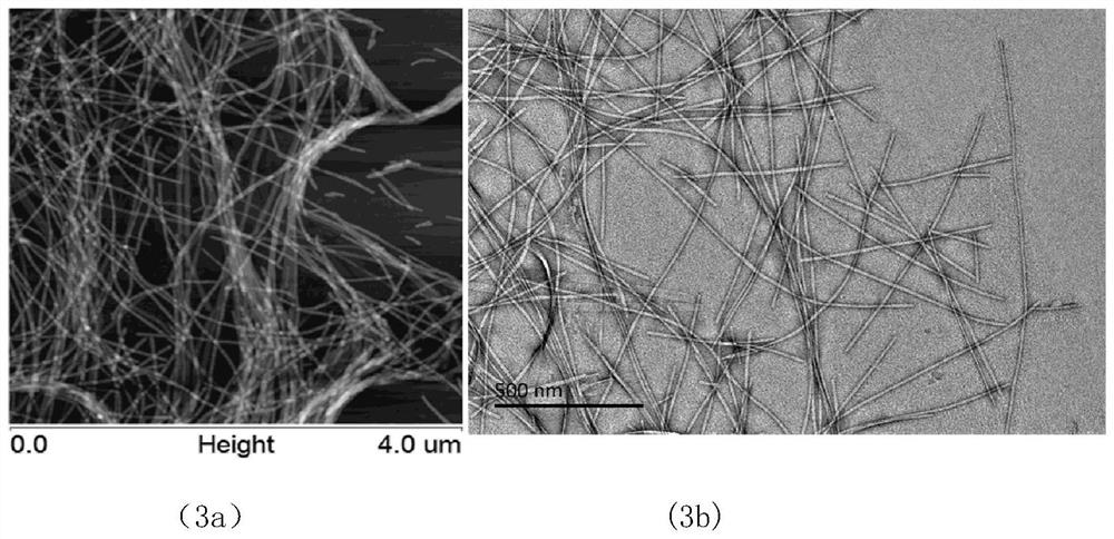 Composite nanohemostatic material based on natural polysaccharide/short peptide and its preparation method