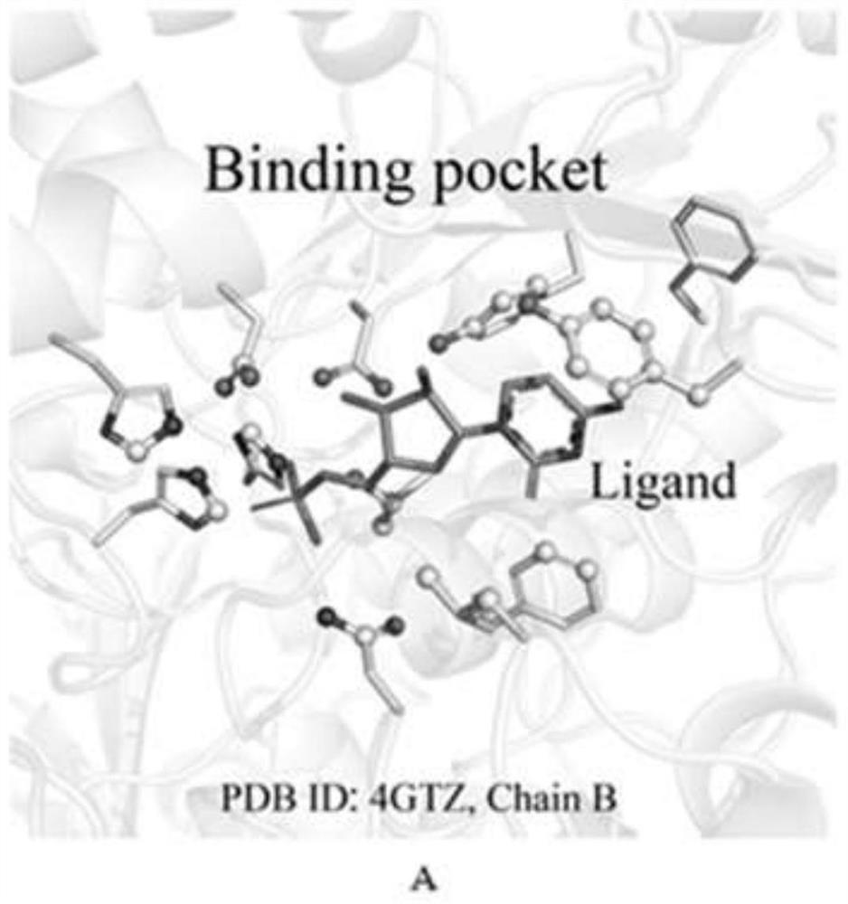 Method for identifying key flexible amino acids on protein small molecule binding pockets