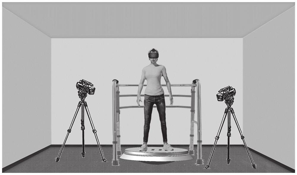Immersive virtual reality standing balance training platform and system