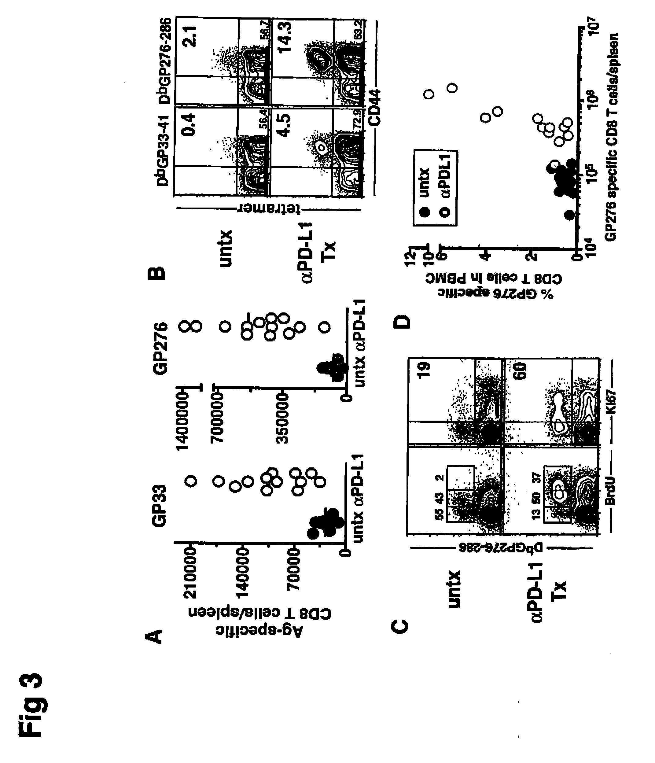Methods and compositions for the treatment of persistent infections