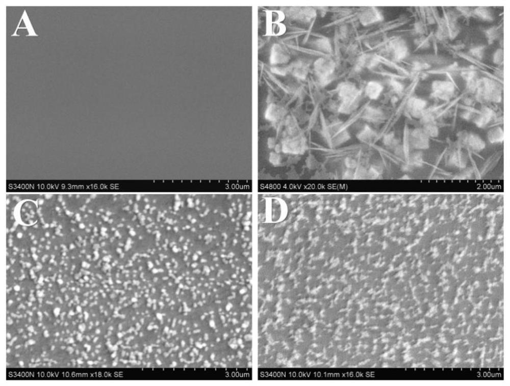 Preparation method of perovskite quantum dot-molecular imprinted electrochemiluminescence sensor for detecting prometryn and detection application thereof