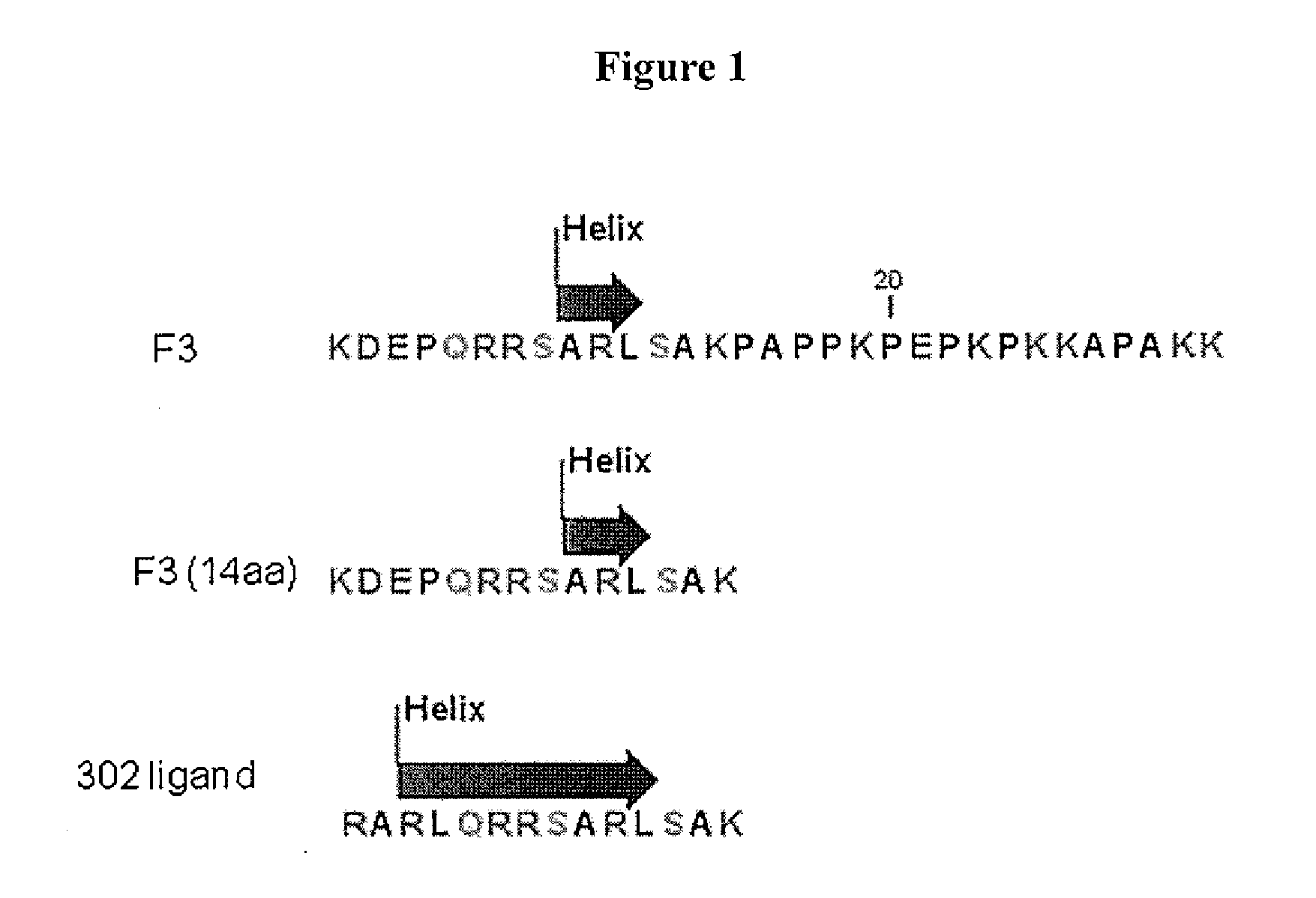Nucleolin-binding peptides, nucleolin- binding lytic peptides, fusion constructs and methods of making and using same