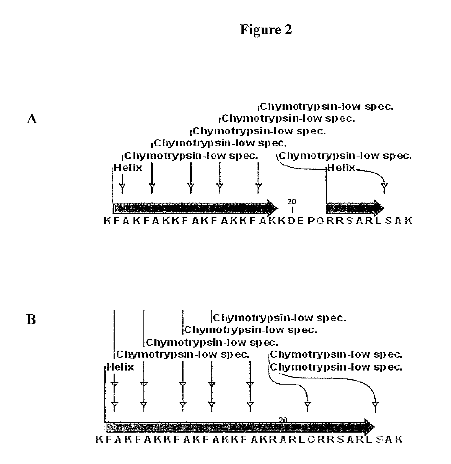 Nucleolin-binding peptides, nucleolin- binding lytic peptides, fusion constructs and methods of making and using same