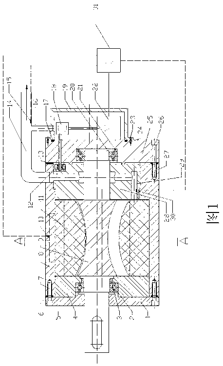 Blade type pneumatic motor with variable expansion ratio