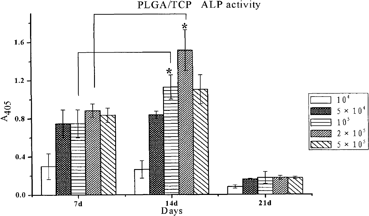 Preparation consisting of PLGA (Polylactic Acid-Polyglycolic Acid)/TCP (Tris Calcium Polymer) and MSC (Mesenchymal Stem Cells) of compound MSC and application thereof