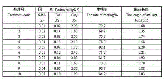 One-step rapid seedling method for tender stem segment of malus komarovii inside test tube