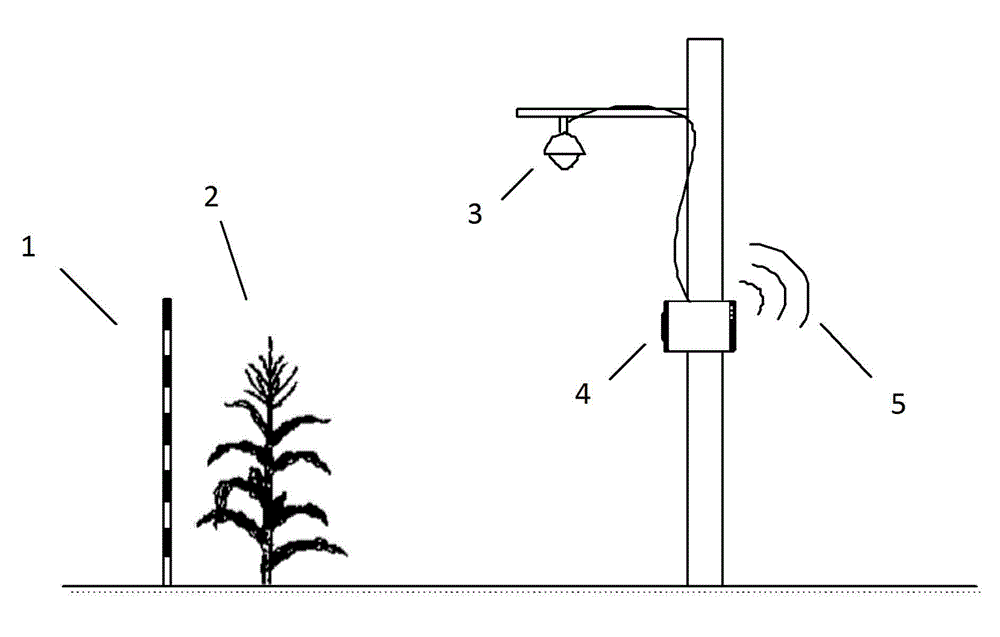 Method of analyzing crop growth image based on embedded type equipment