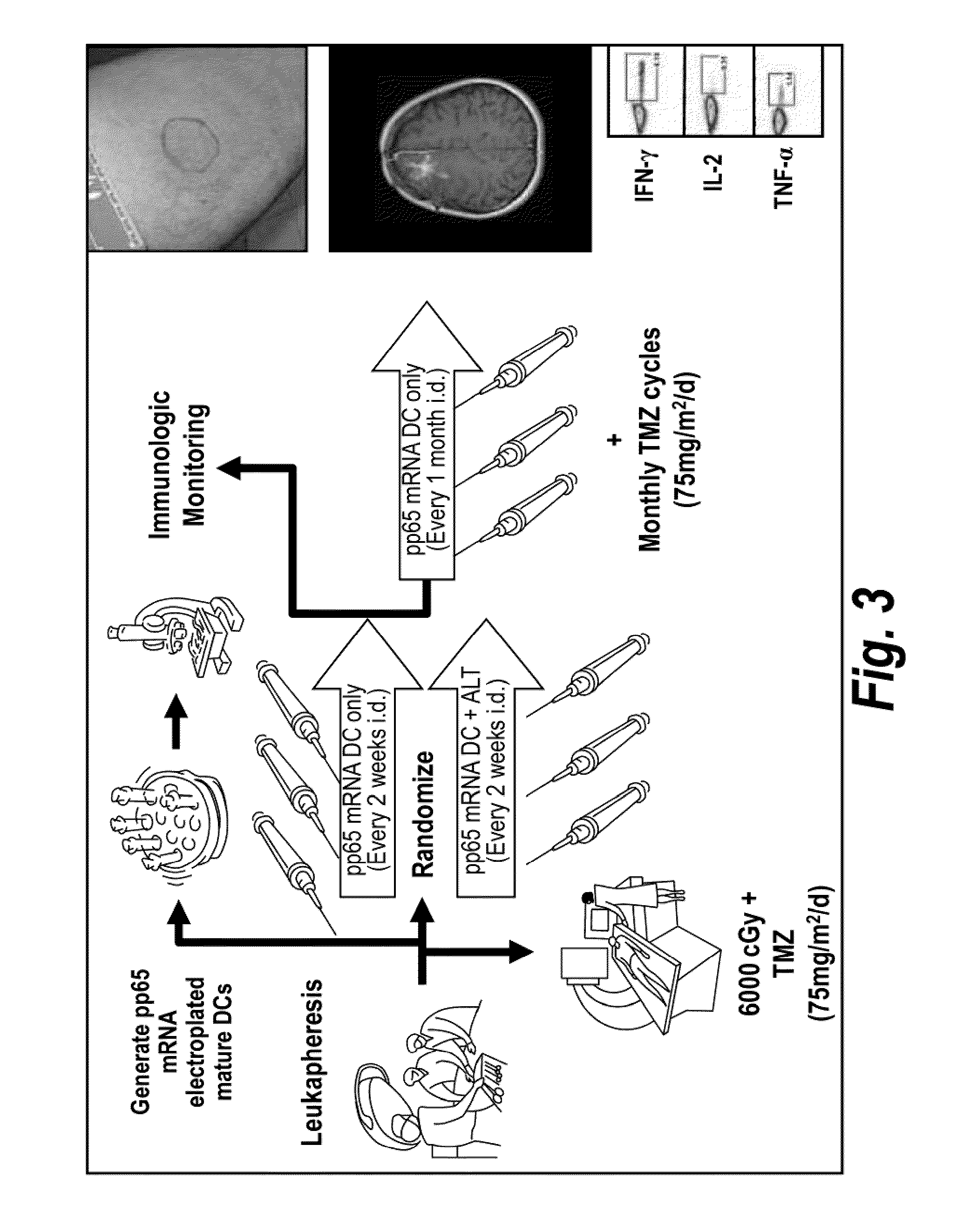Compositions, methods, and kits for eliciting an immune response