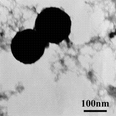 Magnetic fluorescent double-function nanoion probe and preparation method thereof