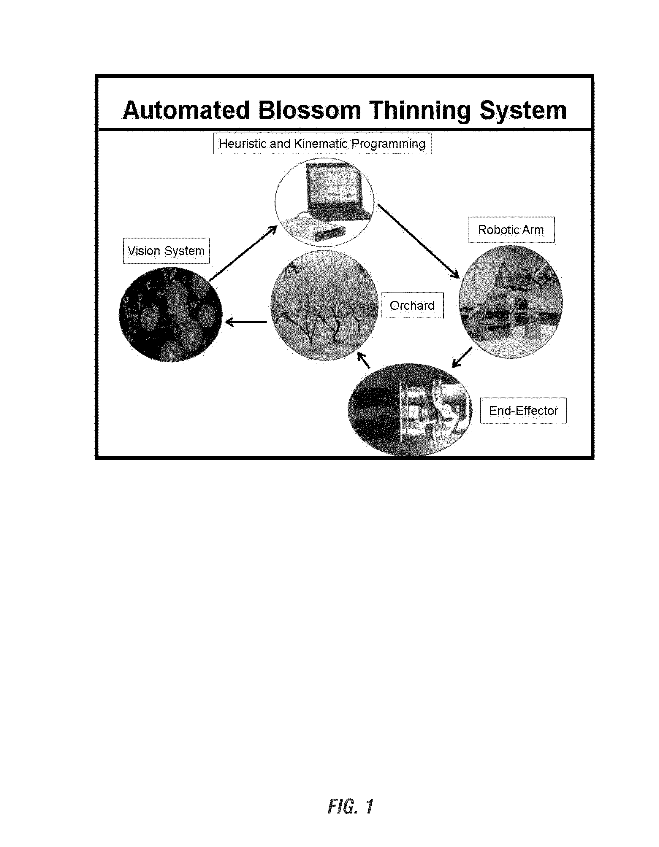 Selective automated blossom thinning