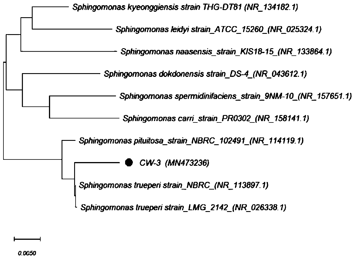 Pyrethroid insecticide residue degradation strain and application thereof