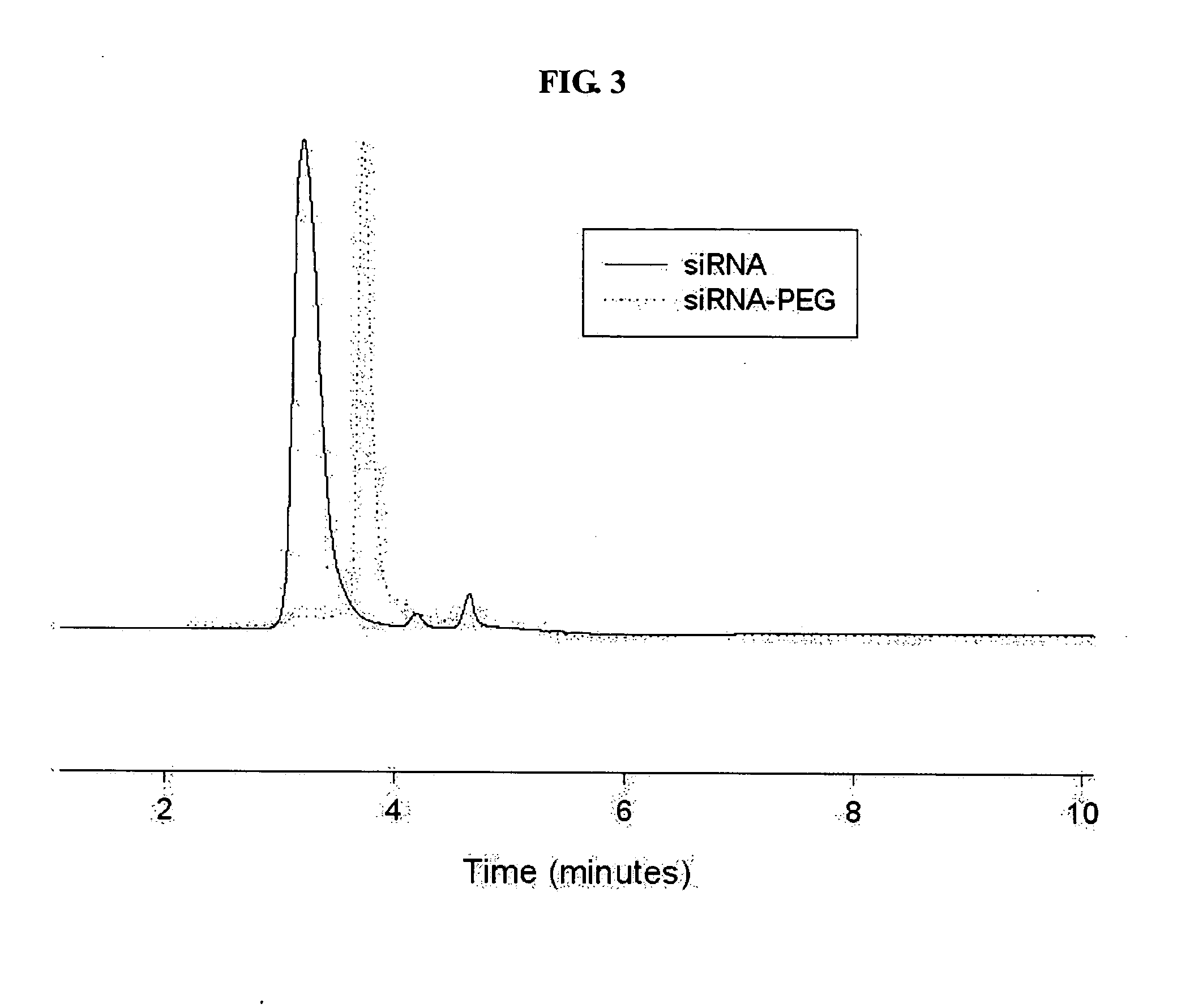 siRNA-hydrophilic polymer conjugates for intracellular delivery of siRNA and method thereof
