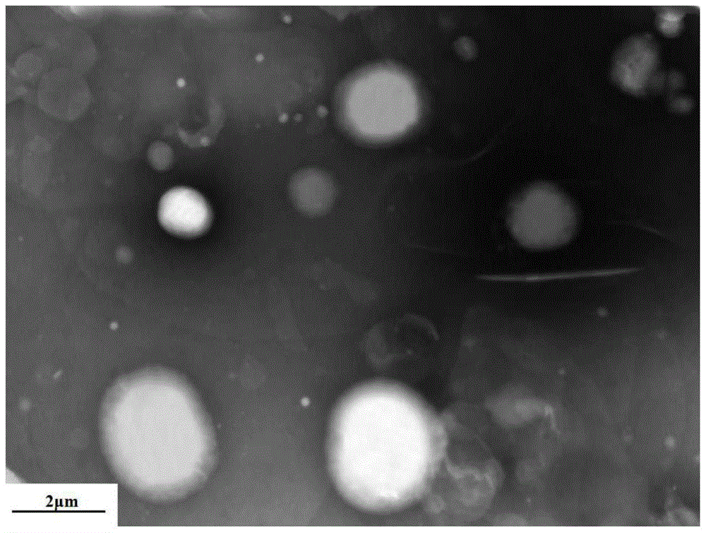 A kind of preparation method of terbinafine hydrochloride microcapsule antibacterial agent for shoes