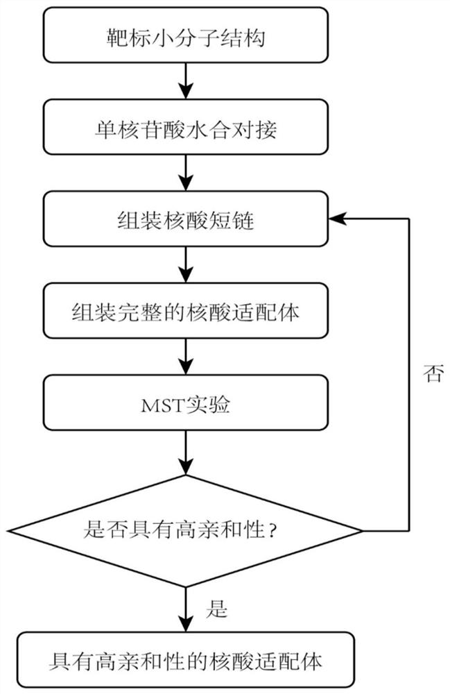 A nucleic acid aptamer design method based on single nucleotide molecular docking