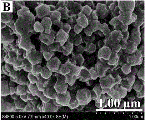 Preparation method of novel nano carbon material and electrocatalytic hydrogen production application of novel nano carbon material