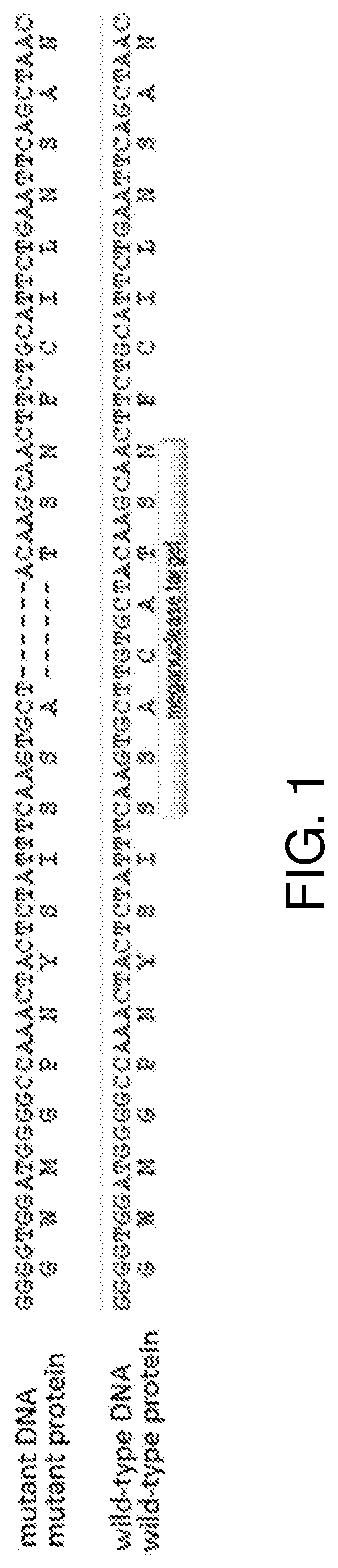 Engineered nucleases in plant generation