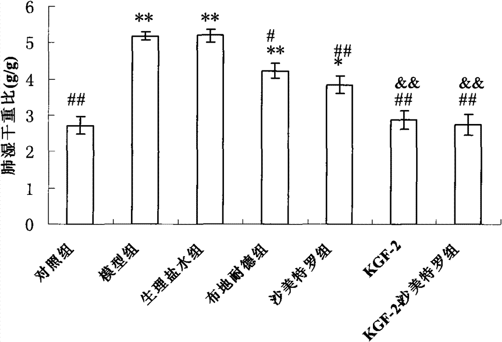 Application of keratinocyte growth factor-2 in preparation of medicines for preventing and curing lung injury