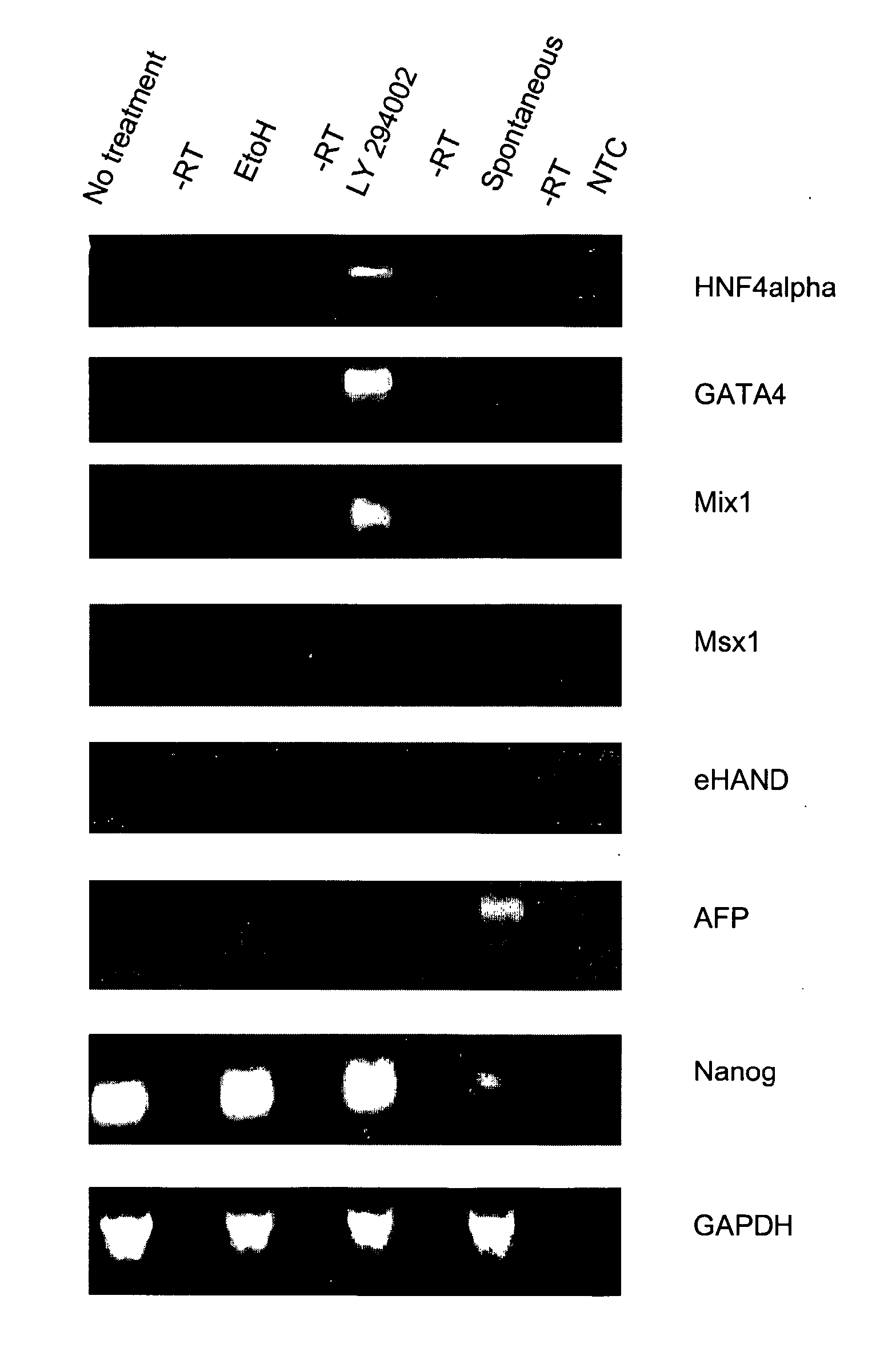 Compositions And Methods For Self-Renewal And Differentiation In Human Embryonic Stem Cells