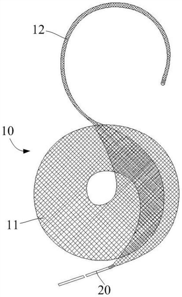 Hemangioma plugging device, hemangioma plugging treatment device and hemangioma plugging system