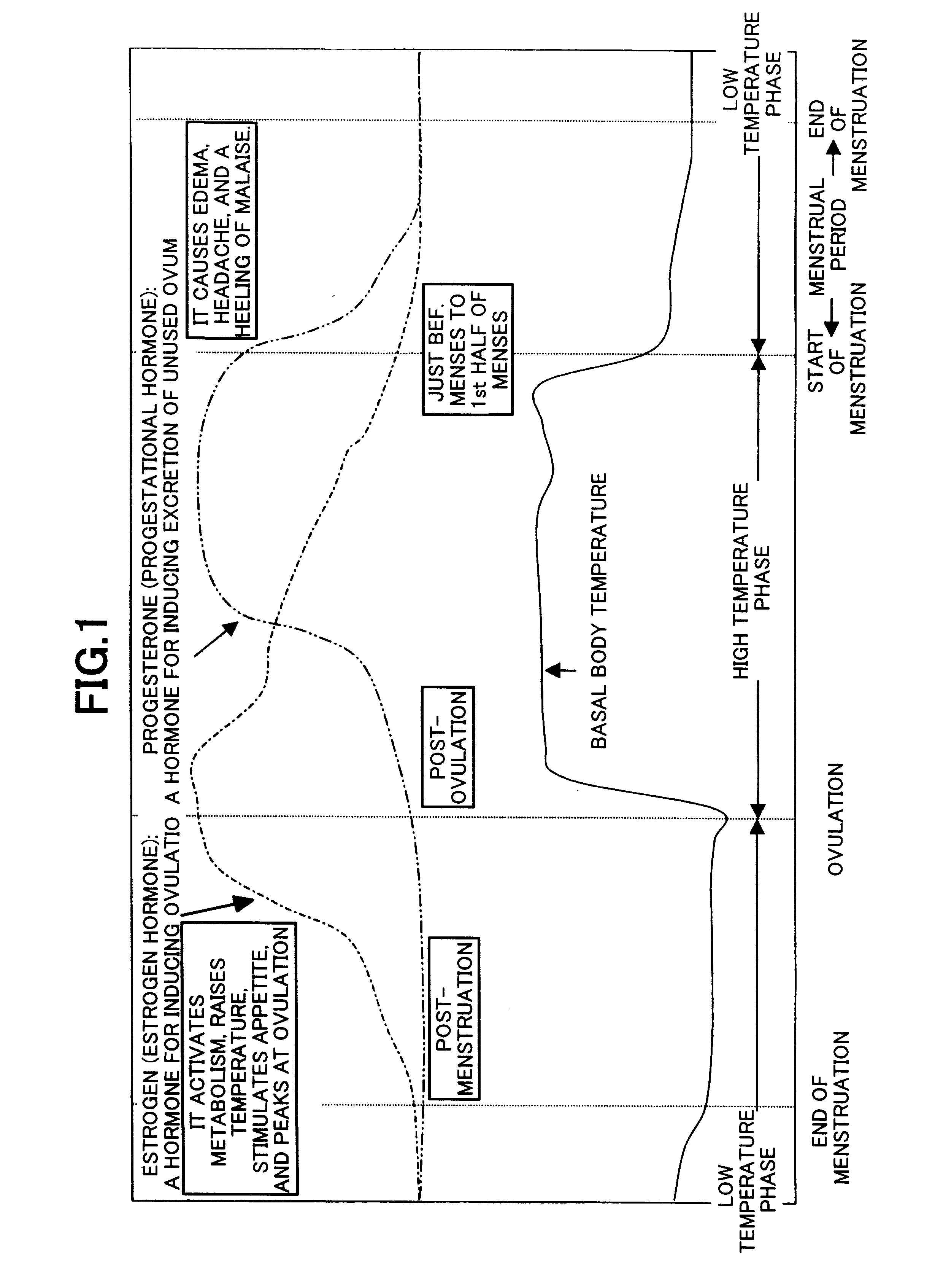 Method of making a decision on the monthly physiological condition of a female body, apparatus which makes such decision, and apparatus which produces some data for such decision