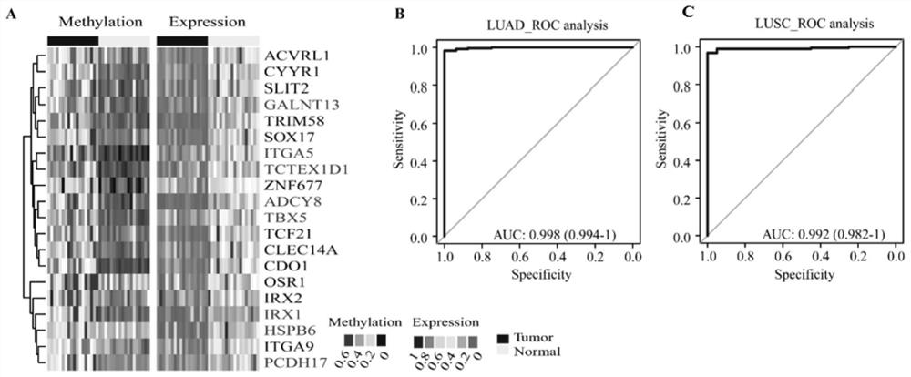 Lung cancer DNA methylation molecular markers and application thereof in preparation of kit for early diagnosis of lung cancer