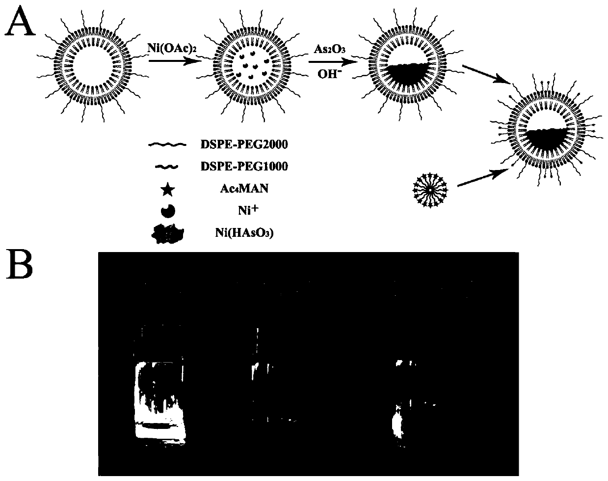 A kind of heart-brain dual-targeting liposome and its preparation method and application