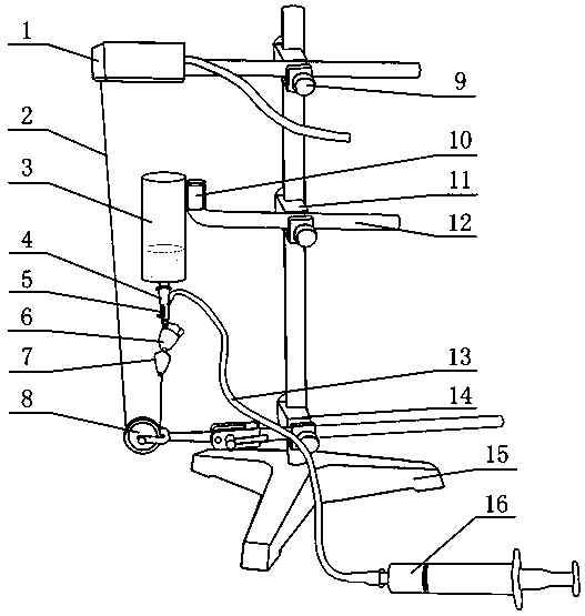 Isolated frog heart perfusion experimental teaching device