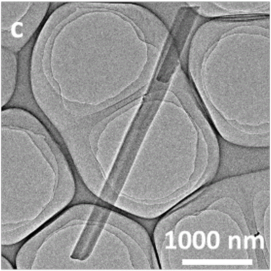 5,10,15,20-tetra (4-carboxyl phenyl) porphyrin with nano structure and preparation method of 5,10,15,20-tetra (4-carboxyl phenyl) porphyrin