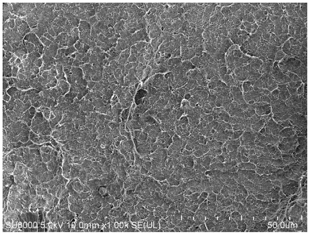 Polytrifluorochloroethylene resin composition