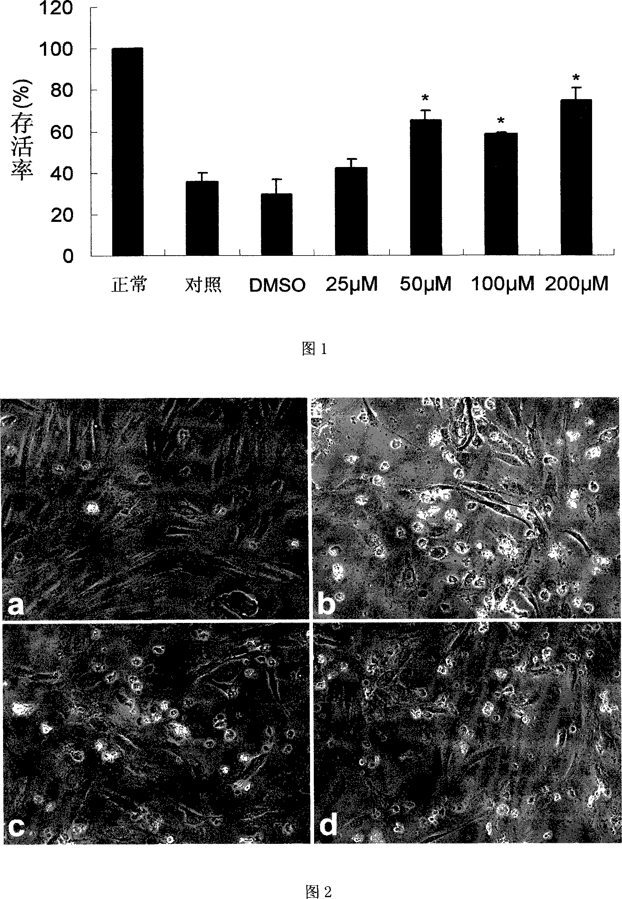 Application of 2,3 -dihydrogen-3 -hydroxymethyl- 6- amino- [1,4]- benzoxazine in preparing inhibition apoptosis of vascular endothelial cell and promoting neovascularization medicine